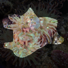 layer0-384