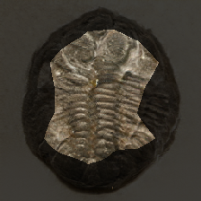 layer0-1352