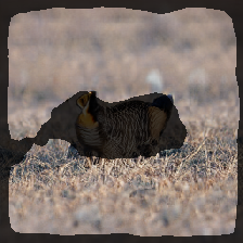 layer2-130