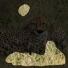 layer2-130
