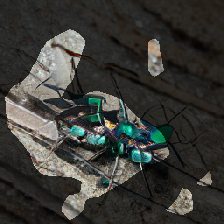 layer0-1140