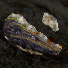 layer0-1140