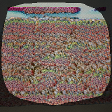 layer1-495