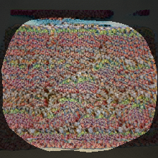 layer0-1355