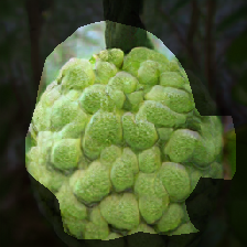 layer0-836