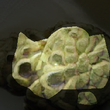 layer0-836