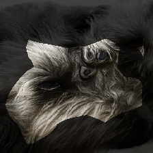layer0-836