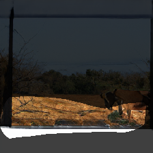 layer0-761