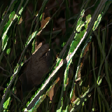 layer3-369