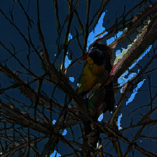 layer3-369