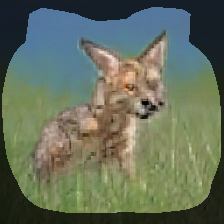 layer0-1147