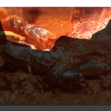 layer0-394