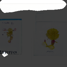layer0-556