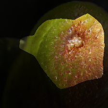 layer0-1149