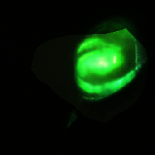 layer0-1149