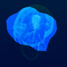 layer0-1149