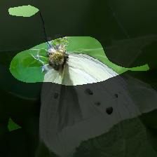 layer0-768
