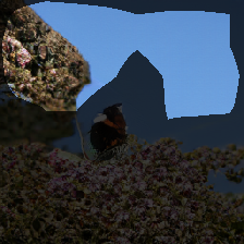 layer0-769