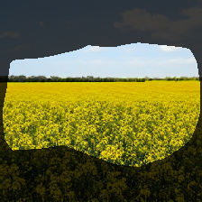 layer0-562