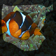 layer0-771