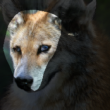 layer0-565