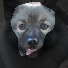 layer0-565