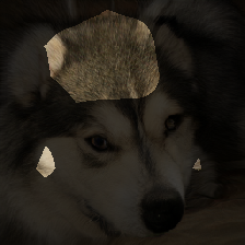 layer0-1158