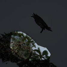 layer0-773