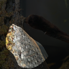 layer0-773
