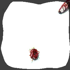 layer0-567