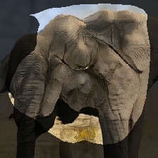 layer1-269