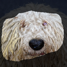 layer1-269