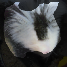 layer1-270