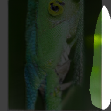 layer0-572