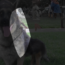 layer0-779