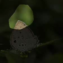 layer0-780