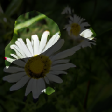 layer0-780