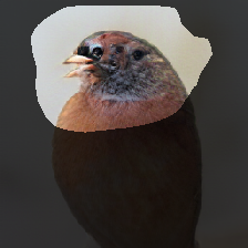 layer1-274