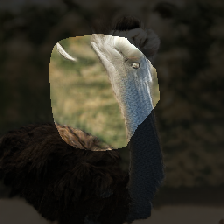 layer0-1371