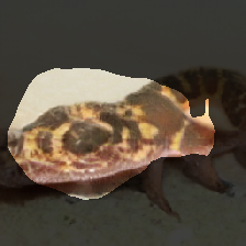 layer1-497