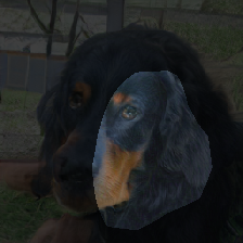 layer0-577