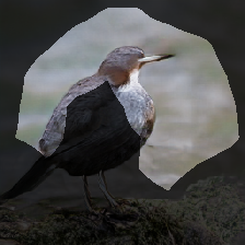 layer0-783