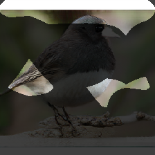 layer0-783