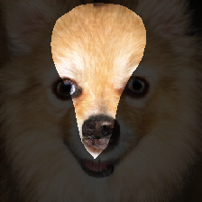 layer1-276