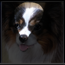 layer1-276