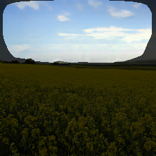 layer1-278