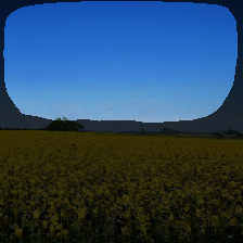 layer1-278