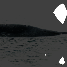 layer0-579