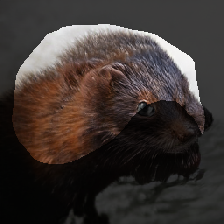 layer1-281