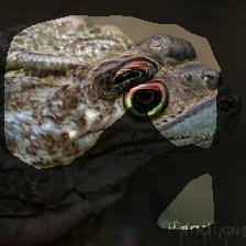 layer1-281